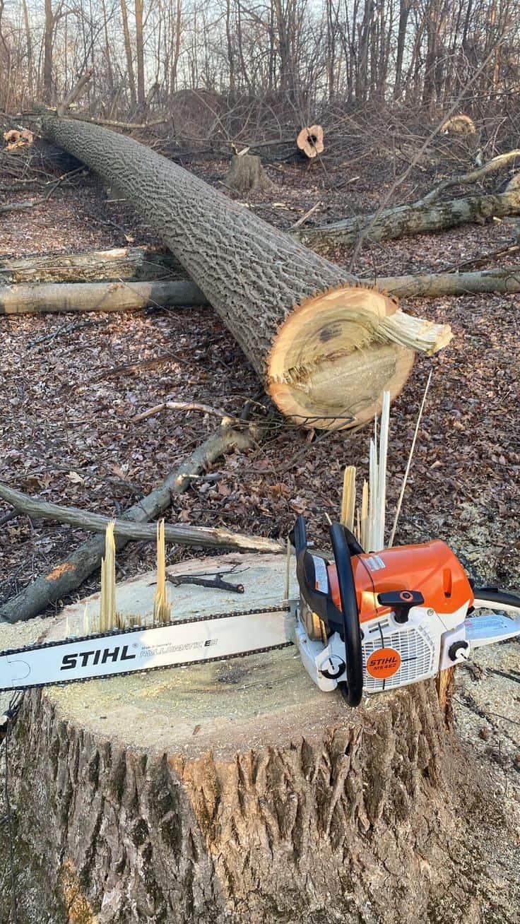 Jones Tree Work specialist