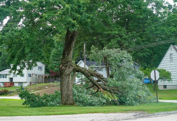 Storm Damage Cleanup
